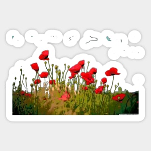 Poppies Sticker